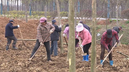 人勤春来早 奋斗正当时 春光正好,植树正酣